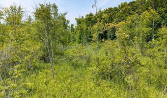 262 40th St, Allegan, MI 49010