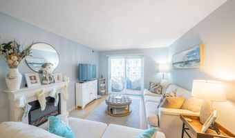 1607 Ocean E, Avalon, NJ 08202