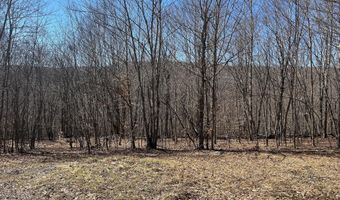 L21.1 Alder Pond Road, Andes, NY 13740