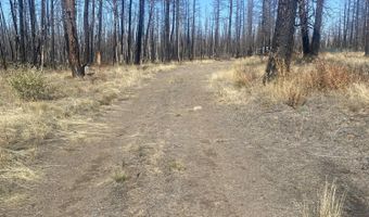 0 Bull Pine Rd 4, Bly, OR 97622