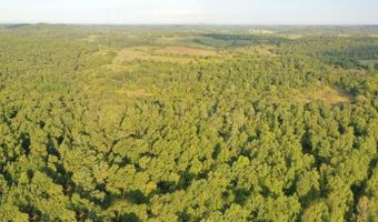 County Road P-305, Ava, MO 65608