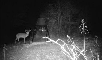 2042 E 1980, Antlers, OK 74523