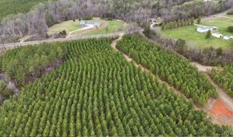 Old Courthouse Road, Appomattox, VA 24522