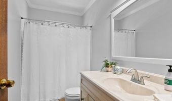 115 Chapman Dr, Asheville, NC 28805