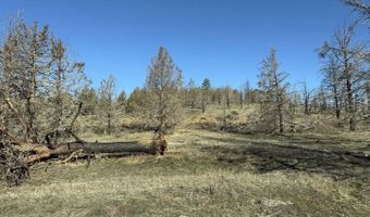 31763 Godowa Springs Rd, Beatty, OR 97621