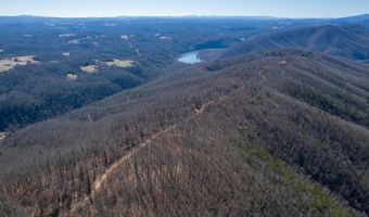 Stoots Mountain Rd. lot 31-A-109, Austinville, VA 24312