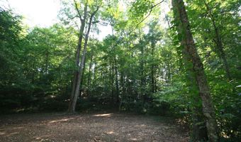 TBA BETTYS BRANCH RD X, Arvonia, VA 23004