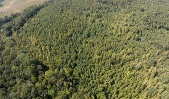 Cr 816, Blue Mountain, MS 38610