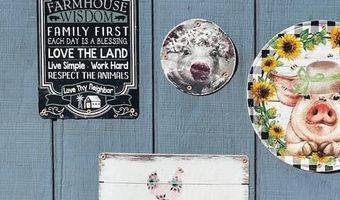 Raz Road lot 102, Ash Fork, AZ 86046