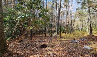 290 Angels Pass Dr Lot 1, Bastian, VA 24314