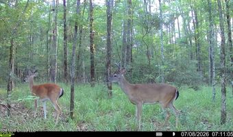 235 Woodrow Martin Rd, Brandon, MS 39042