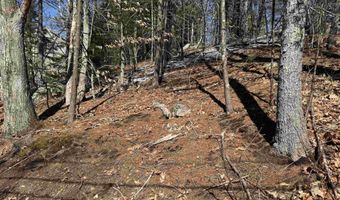 Nutter Drive lot 185, Alton, NH 03809