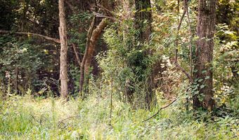 Cypress Pointe Drive lot 18, Brooksville, MS 39739
