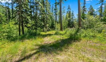 16961 MT Highway 83, Bigfork, MT 59911