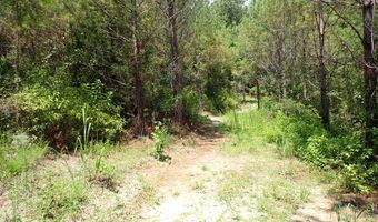 Adams Road, Bankston, AL 35542