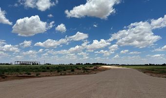 SE CR 2870, Andrews, TX 79714