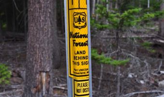 Nna 196 Acres Hwy 95, Bonners Ferry, ID 83805