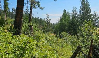 31714 Twinflower Ln, Bigfork, MT 59911