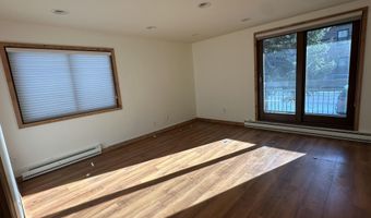 210 E Hyman Ave 201 & 202, Aspen, CO 81611