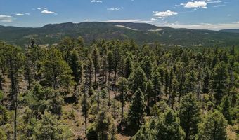 97 Zia Rd, Angel Fire, NM 87710