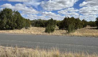 5 Clubhouse Ln, Concho, AZ 85924