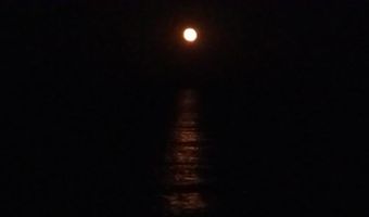 3855 El Cajan Rd, Alpena, MI 49707