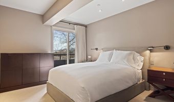 730 S Galena St, Aspen, CO 81611