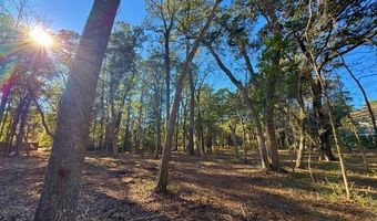 Lot 2e Claussen House Drive, Edisto Island, SC 29438