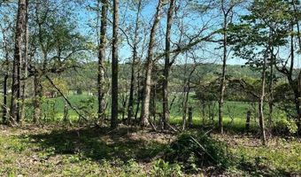 Tract 1 Mill Creek Rd, Andersonville, TN 37705