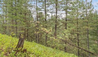 Sunset Trail, Banks, ID 83602