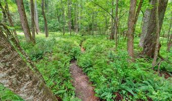 341 Blackberry Trl, Ball Ground, GA 30107