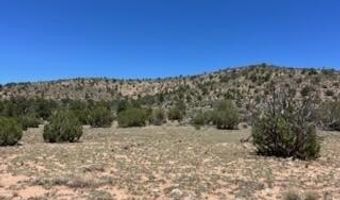 307 Off Of Old Deputy Shortline, Ash Fork, AZ 86320