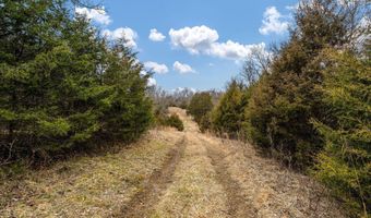 Smithtown Road, Afton, TN 37616