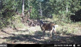 644 Ash-harrel Loop, Abbeville, GA 31001