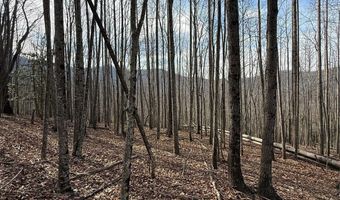 1029 Chippawa Dr 67, Arden, NC 28704
