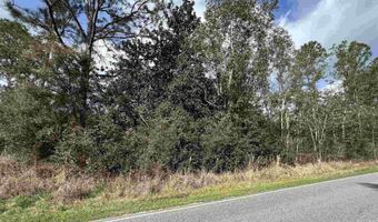 0 County Rd 95, Elberta, AL 36530