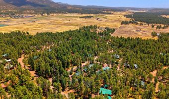 26 County Road 2067, Alpine, AZ 85920