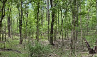 N Osborntown Rd, Arlington, TN 38002