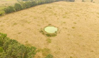 1350 County Road 405, Alton, MO 65606