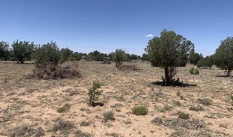110 Mesa Redondo Ranch Rd, Concho, AZ 85924