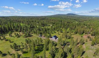 507 Bearlea Rd, Anatone, WA 99402