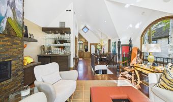 914 E Cooper Ave, Aspen, CO 81611