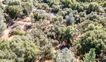 41902 Woodward Way, Ahwahnee, CA 93601