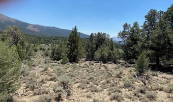 Tbd P14 77, Minden, NV 89423