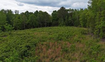 6020 Eaglewood Ln, Birchwood, TN 37308