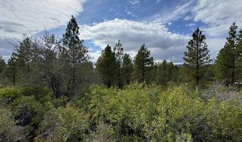 Lot 10 Tanager Drive, Bonanza, OR 97623