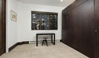 566 Race St, Aspen, CO 81611