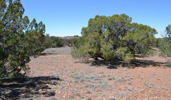 N8604 1, Concho, AZ 85924