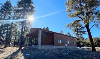 3 County Road N2261, Alpine, AZ 85920
