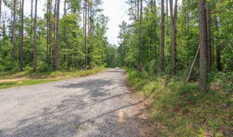 3131 Hwy 43 N, Brandon, MS 39047